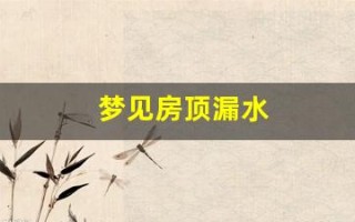 梦见房顶漏水(梦见屋顶漏水床铺淋湿什么征兆)