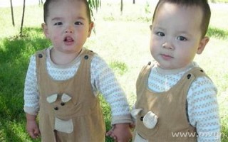 梦见双胞胎男孩(梦见双胞胎男孩是什么意思)