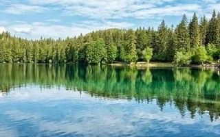 十二星座测试(十二星座测试表)