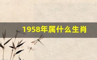1958年属什么生肖(1958年属什么生肖) 1958年属什么生肖(1958年属什么生肖)