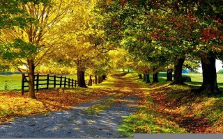 梁洛施八字(梁洛施八字时辰推测)