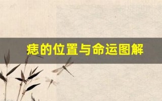 痣的位置与命运图解(脸上的痣的位置与命运图解)