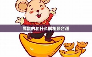 属鼠和什么属相最配(属牛和什么属相最配)