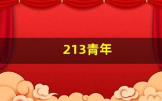213青年(213青年欢乐多什么意思)