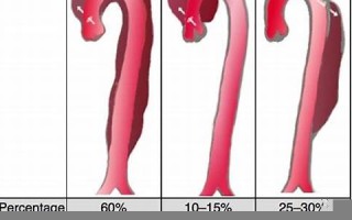 ab型血的性格(AB型血的性格特点)