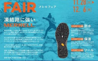 11月28日(11月28日出生的人命运如何)