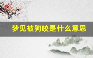 梦见被狗咬是什么意思(女人梦见狗咬是吉兆)