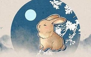 属兔的几月出生好(属兔的几月出生好女孩)