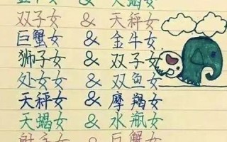 男女配对(男女配对指数测试)