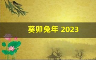 葵卯兔年 2023(葵卯兔年是几几年)