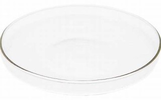 a型血女的性格(a型血的特点及性格)