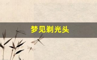 梦见剃光头(梦见剃光头是什么意思周公解梦)