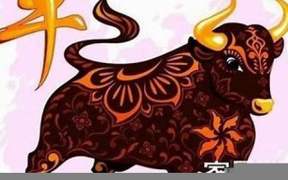 属牛的2020年运势如何(属牛的2025年运势怎么样)