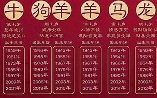 2011年什么年(2011年什么年生肖)