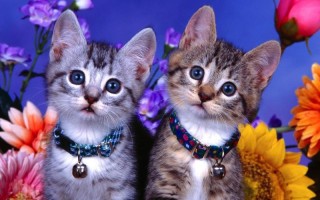 2012年4月2日(2012年4月2日生辰八字)