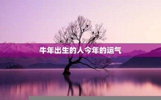 牛年出生的人的命运(牛年出生人的命运和运程)