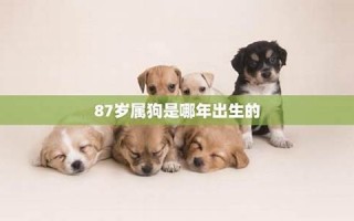 属狗是哪年出生的(属牛是哪年出生的)