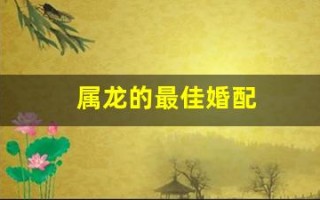 属龙的最佳婚配(属龙的和什么属相最配、相克)