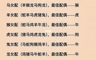 生肖配对(生肖配对真的准吗可信吗)