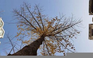 冬月初二(冬月初二出生的人命运如何)