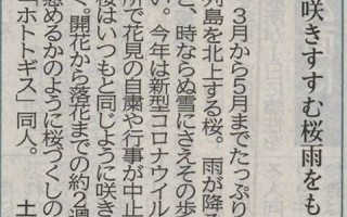 2020年5月20日黄历(2020年5月20日黄道吉日)