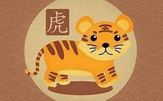 属虎人出生月的命运(属虎人出生月命运解析)