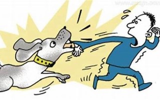 梦见被够狗咬什么意思(梦见狗被蛇咬)