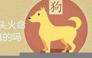 94年属什么(94年属什么生肖的今年多大了)