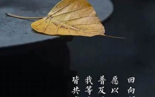 十月十七(十月十七农历是什么日子)
