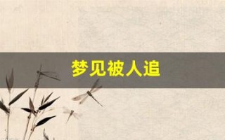 梦见被人追(梦见被人追着跑到处躲) 梦见被人追(梦见被人追着跑到处躲)
