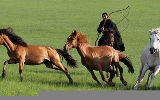 1954年属什么生肖(1955年属什么生肖)