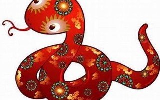 2013年属蛇人的运程(2013年属蛇人的运程和财运)
