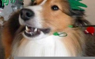 2013年10月12日(2013年10月12日属什么)