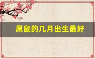 属鼠的几月出生最好(属鼠的几月出生最好命女孩子)