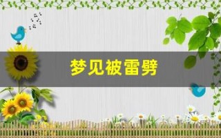 梦见被雷劈(梦见被雷劈是什么征兆)