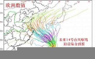 摩羯实时路径(摩羯实时路径查询)