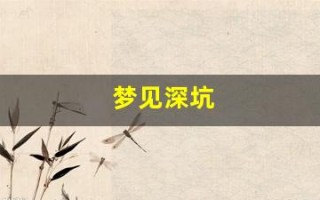 梦见深坑(梦见深坑有水很深)