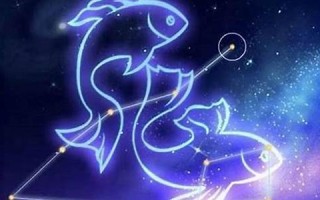 双鱼座和什么星座配(双鱼座和什么星座配对最配)