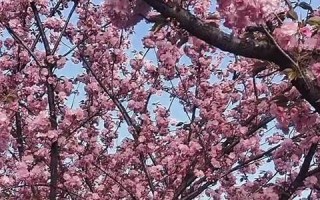 四月二日(四月二日出生的人) 四月二日(四月二日出生的人)