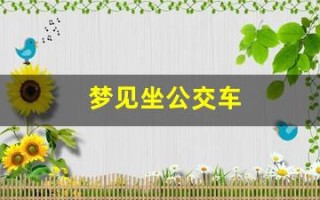 梦见坐公交车(梦见坐公交车很多人)