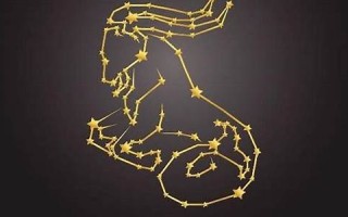 摩羯女和双鱼男(摩羯女和双鱼男在一起合适吗)