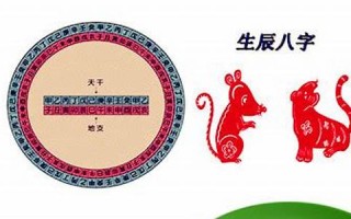 十二生肖谁最疯狂(十二生肖谁最猛)