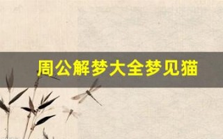 周公解梦大全梦见猫(周公解梦大全梦见猫因为我意外受伤后咬我)