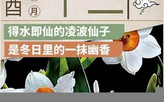 十一月十三(十一月十三日是什么日子)