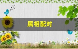 属相配对(属相配对婚姻配对查询)