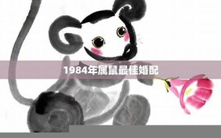 1984年属鼠2021年运势及运程(1984年属鼠2021年运势及运程幸运数字)