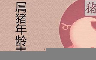 属猪今年多大年纪(属兔今年多大年纪) 属猪今年多大年纪(属兔今年多大年纪)