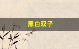 黑白双子(黑白双子情头)