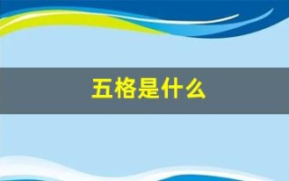 五格是什么(五格是什么东西)