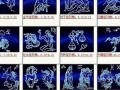 9月7日是什么星座(1977年9月7日是什么星座)